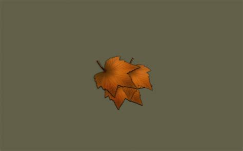 minimalistic, Leaves Wallpapers HD / Desktop and Mobile Backgrounds