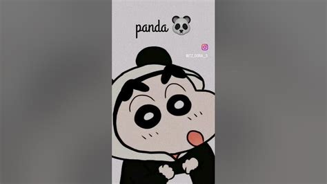 🐼🐼 Youtube