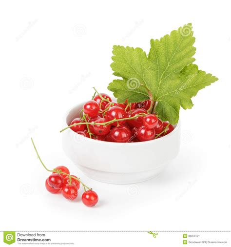 Fresh Red Currant In Porcelain Bowl Stock Image Image Of Diet