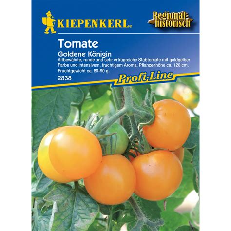 Tomaten Goldene Königin kaufen bei OBI