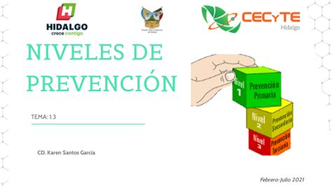 Sesión 3 Niveles de Prevención