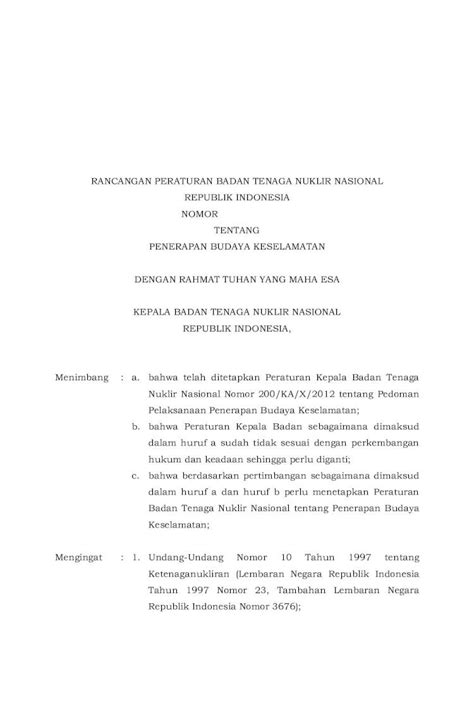 Pdf Peraturan Kepala Badan Tenaga Nuklir Nasional