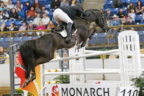 HORSE SHOWS | National Western Stock Show