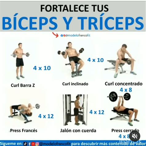 Pin De Rbn LG En Ejercicios Musculacion Rutinas De Entrenamiento