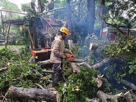 Hari Diguyur Hujan Angin Kencang Rumah Di Bantul Rusak