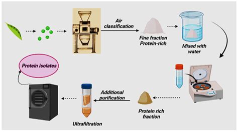 Molecules Free Full Text The Current Situation Of Pea Protein And