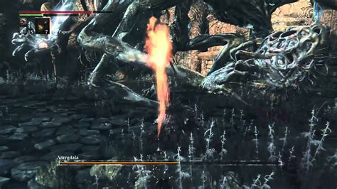 Bloodborne Amygdala Boss Fight Youtube