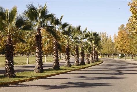 El Parque Metropolitano Reabri Sus Puertas Mendovoz