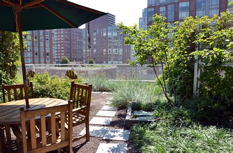 Start a Rooftop Container Garden - Brooklyn Botanic Garden