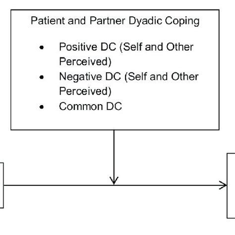 The Moderation Model Used In This Study Dc Dyadic Coping