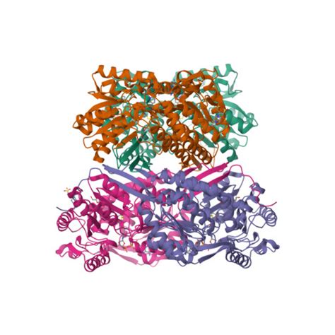 Rcsb Pdb 5eyu 172 Angstrom Resolution Crystal Structure Of Betaine