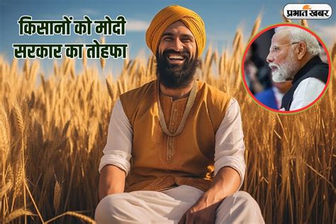 Rabi Crops Msp किसानों को मोदी सरकार का तोहफा रबी फसलों की एमएसपी में बढ़ोतरी