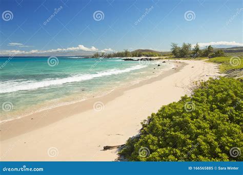 Makalawena Beach in Hawaii, USA Stock Image - Image of colour, seascape ...