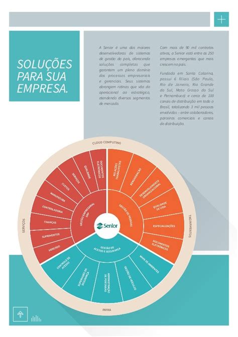 Gestão De Acesso E Segurança Senior