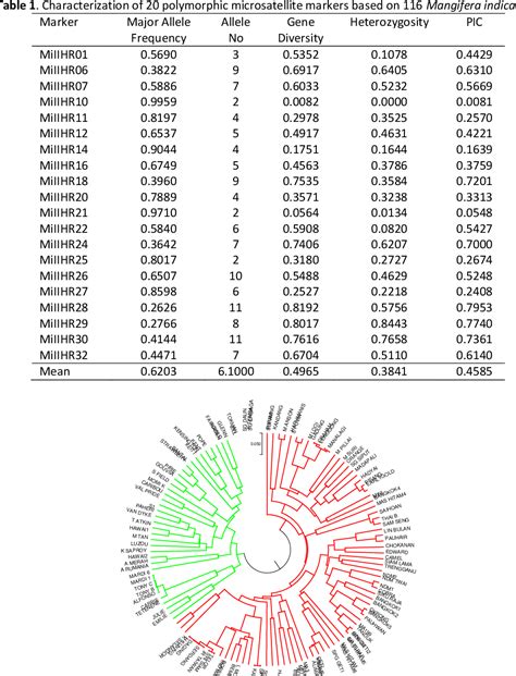 [pdf] Assessment Of Diversity And Population Structure Of Mango Manera Indica L Germplasm