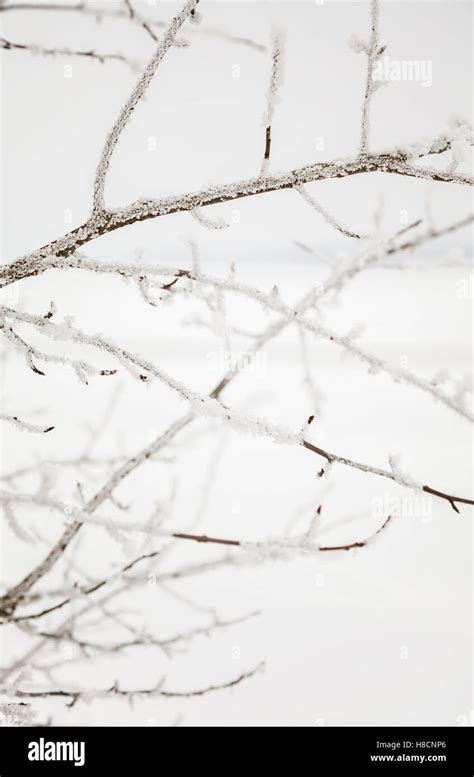 Image of frozen winter landscape Stock Photo - Alamy