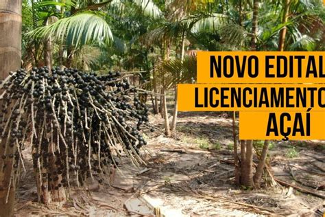 Novo Edital Da Embrapa Seleciona Produtores Para Comercializar Mudas E