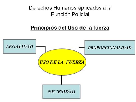 Principios Del Uso De La Fuerza Principios Del Uso De La Fuerza