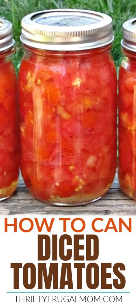 How To Can Diced Tomatoes A Step By Step Tutorial Canning Tomatoes Recipes Canning Diced