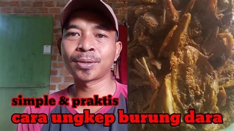 Cara Ungkep Burung Dara Youtube