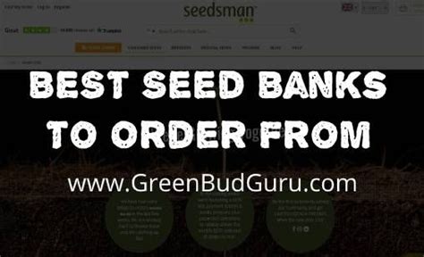 Best Cannabis Seed Banks Artofit