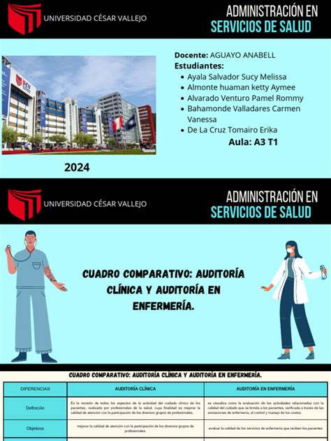 Sesion 15 Administracion En Servicios De Salud Pdf Enfermería Auditoría