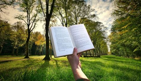 Reading Books Free Stock Photo Public Domain Pictures