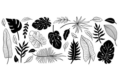 Plant Set Tropical Black Color Graphic By Arinaulyasheva · Creative