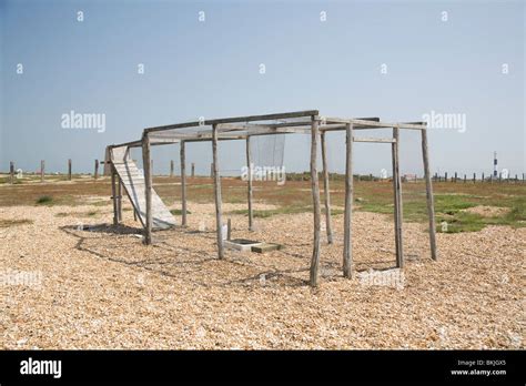 Heligoland bird Trap at the Dungeness Bird Observatory Kent England UK ...