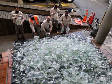 EPM se prepara para suministrar agua potable a comunidades que tendrán