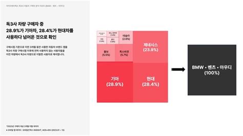 “독3사 차량 구매자 289는 기아‧284가 현대차 탔었다”