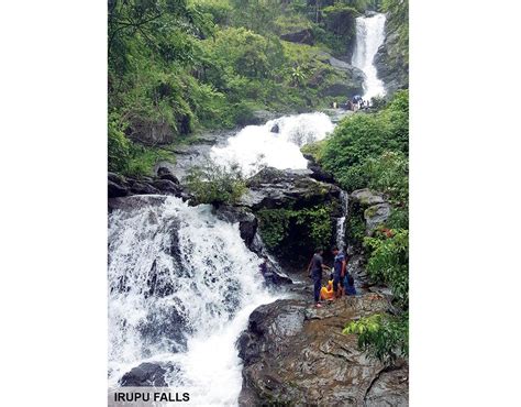 Kodagu waterfalls roar in full glory - Star of Mysore