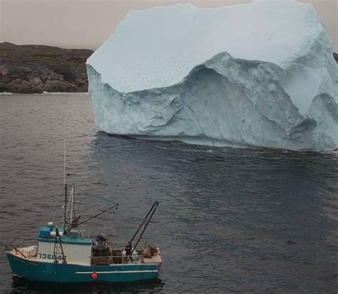 Fishermen Can't Believe What They Find On An Iceberg | Page 14 of 80 ...