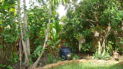 Gardening South Florida Style: South Florida Vegetable Garden in August