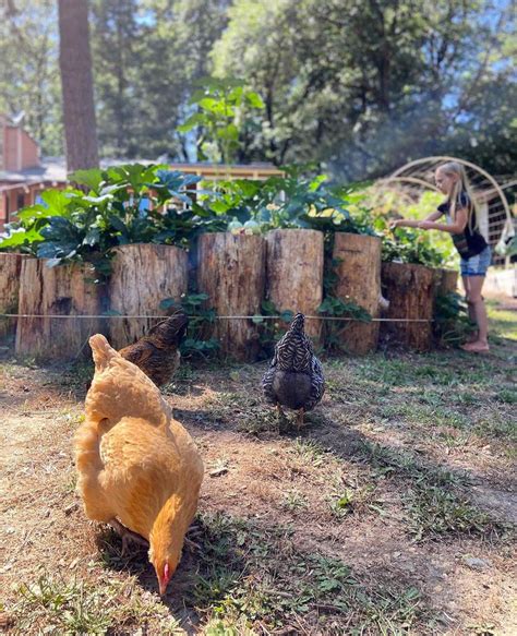 How To Build A Raised Garden Bed With Logs - Garden Design Ideas