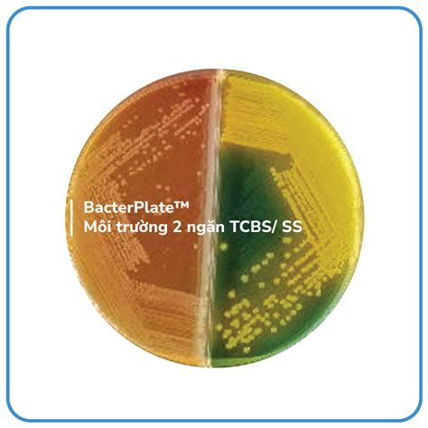 Bacterplate M I Tr Ng Ng N Tcbs Ss Bacterlab