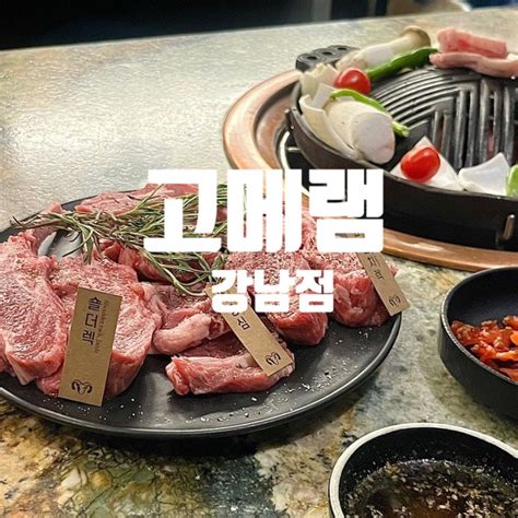 강남 양고기 맛집 강남역 회식장소 추천 고메램 강남점 네이버 블로그