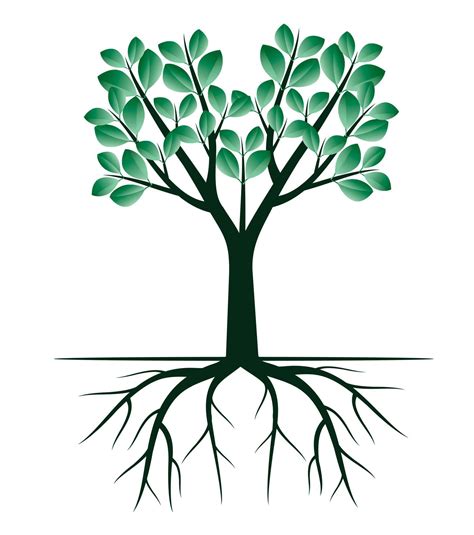 Green Spring Tree With Roots Vector Illustration Vector Art