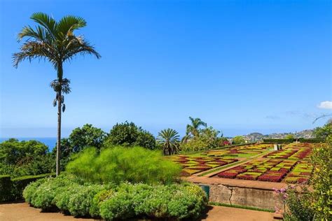 Private Half Day Madeira Tour 8 Seat Mercedes Vito