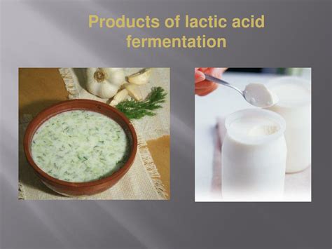 PPT - LACTIC ACID FERMENTATION PowerPoint Presentation, free download ...