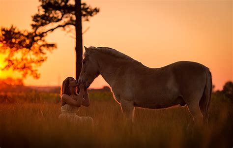 HD wallpaper: girl, sunset, horse | Wallpaper Flare