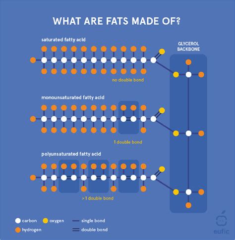 Figure From The Importance Of Omega And Omega Fatty Acids