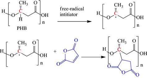 Grafting Of Maleic Anhydride Onto Phb Download Scientific Diagram