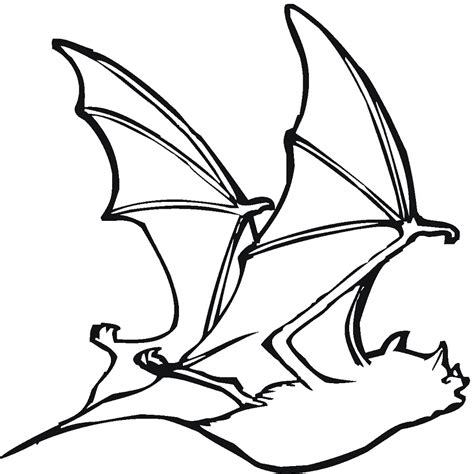 Normal Bat 1 Coloring Play Free Coloring Game Online