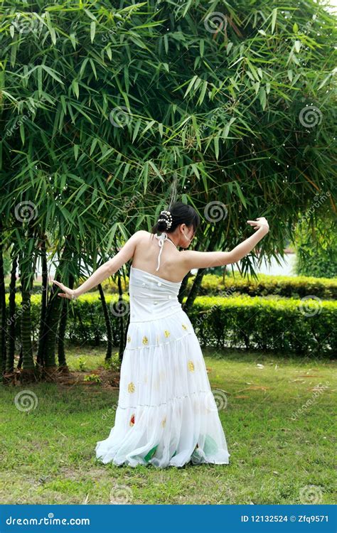 Peacock dance stock photo. Image of arts, happy, cultural - 12132524