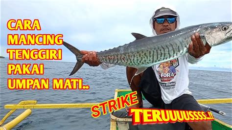 Cara Mancing Tenggiri Pakai Tehnik Umpan Mati Youtube