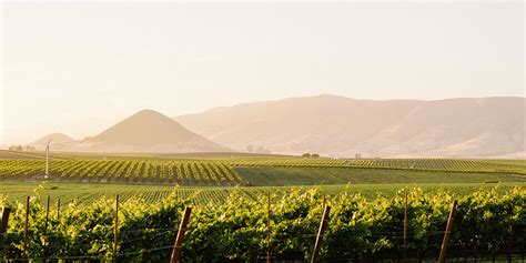 Edna Valley Vineyard – San Luis Obispo, CA – WineCountry.com