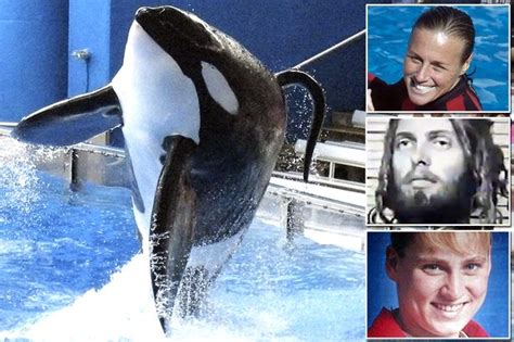 Trainers Horrific Death As Seaworld Killer Whale Tore His Organs And