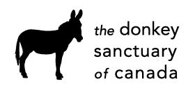 Visit Us - The Donkey Sanctuary of Canada