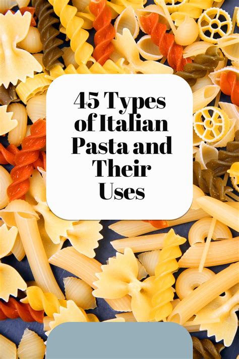 Types Of Italian Pasta And Their Uses Pasta Noodle Types Pasta